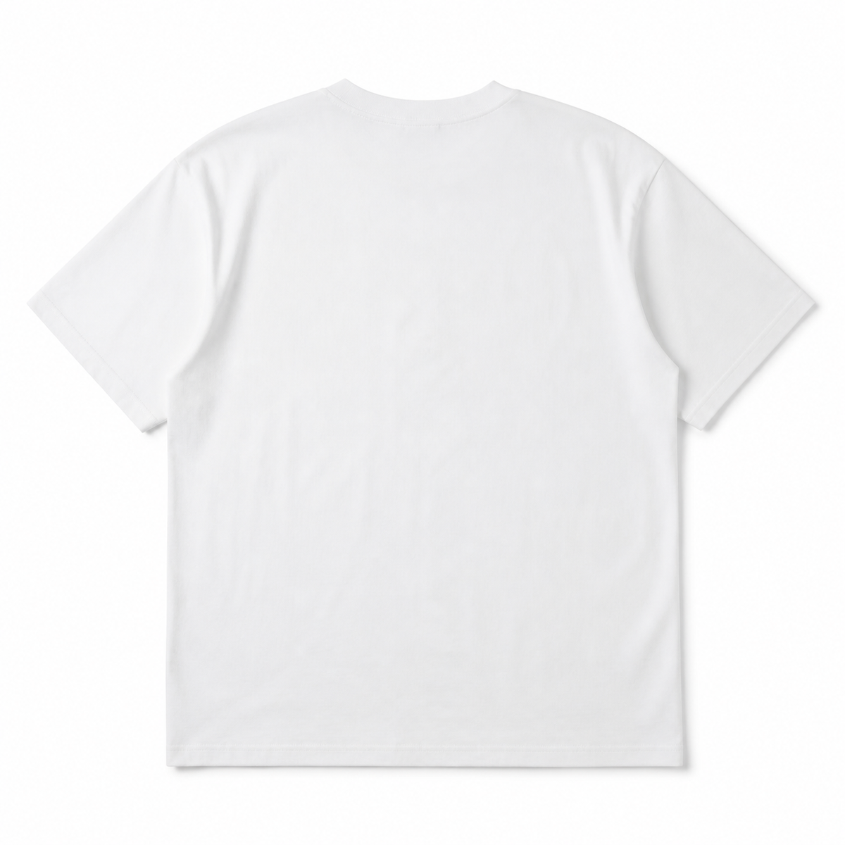 Outrider Western Graphic T-Shirt back view on white